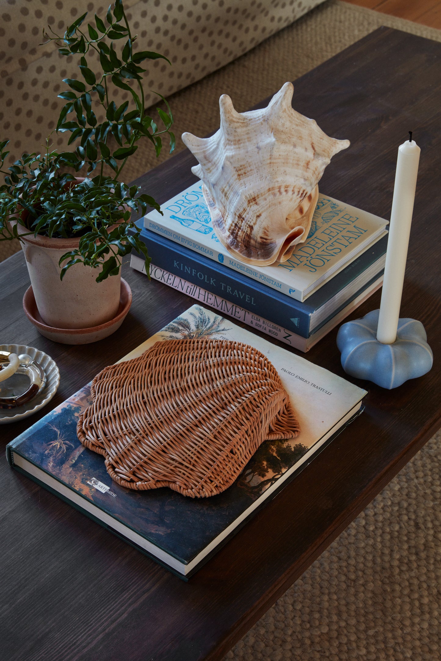 the Shell